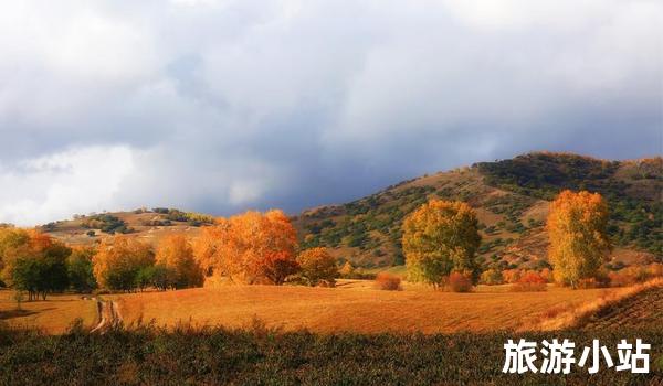 五彩缤纷的岩层（张北坝上草原）