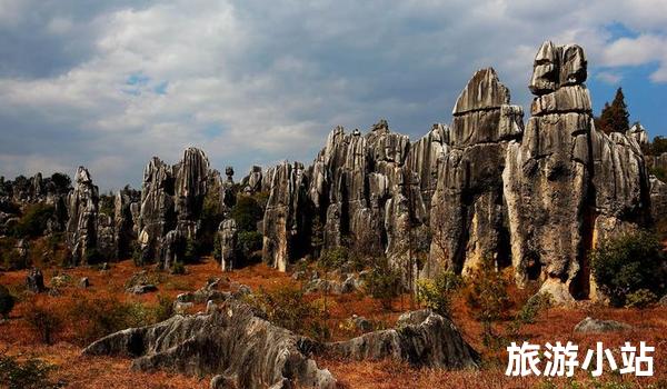 风景怡人的牛角梯田区