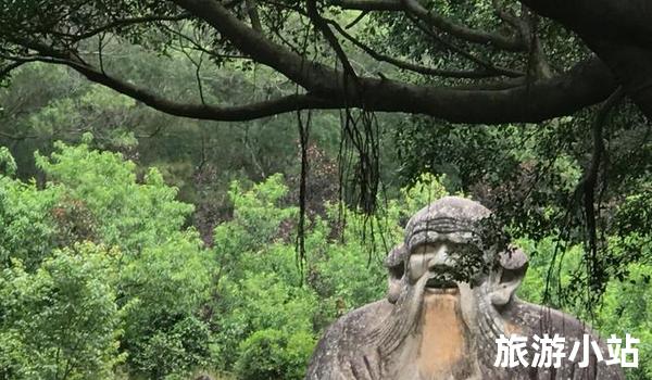 山林间的宁静