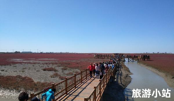 盘锦西湾海岸线