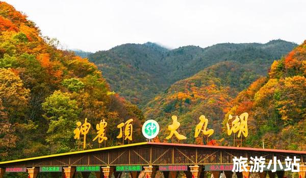 神农架旅游区介绍（神秘红枫）