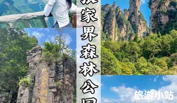 张家界旅游必去景点推荐（如何规划旅游行程）