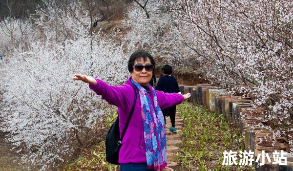 赏花采果，体验乡村风情