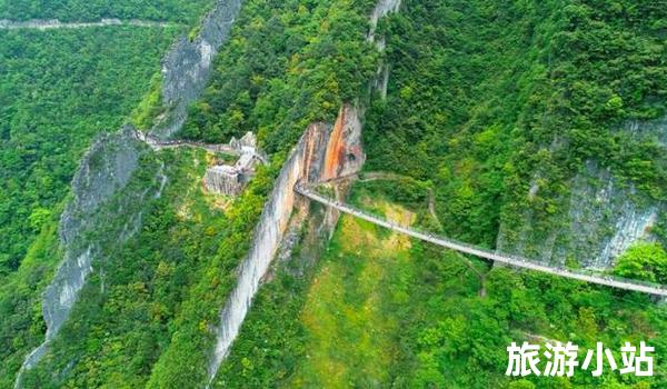 涪陵区旅游必去景点推荐（行者山峰林）