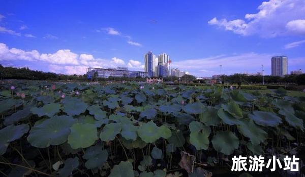 顺便逛逛当地市场