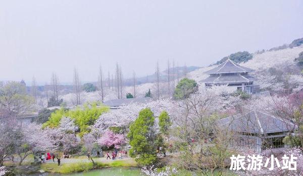 携程国内旅游线路（赏花海）