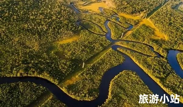 亚马逊雨林（静谧天堂）