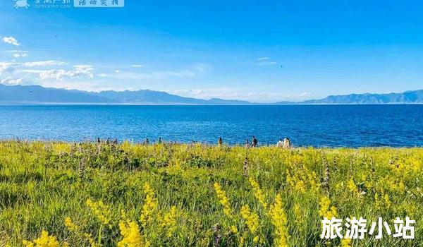  追逐花海盛景：赛里木湖 