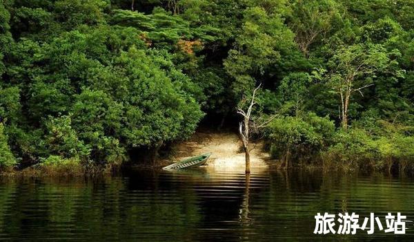 穿越亚马逊雨林