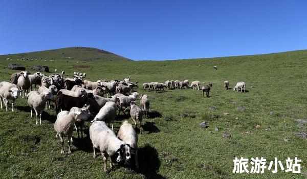 大草原宛如画：凉山草原之旅