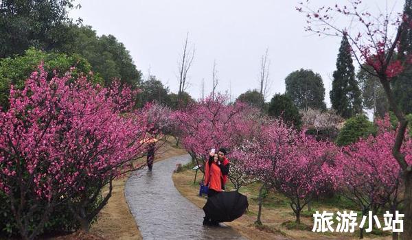 梅花山温泉景区