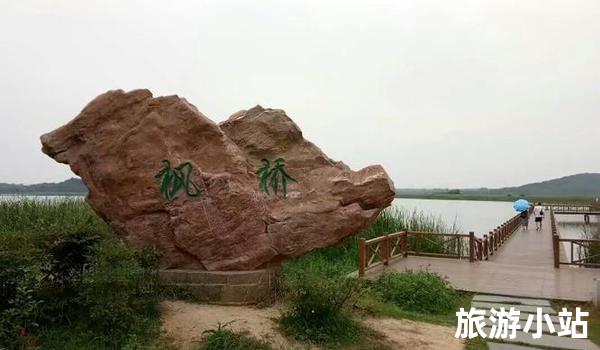 领略湿地公园的美丽