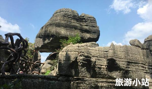 7月国内旅游好去处（ 神秘自然之旅）