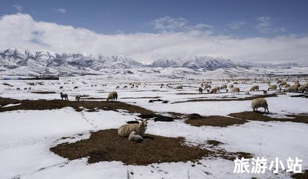 祁连山滑雪场