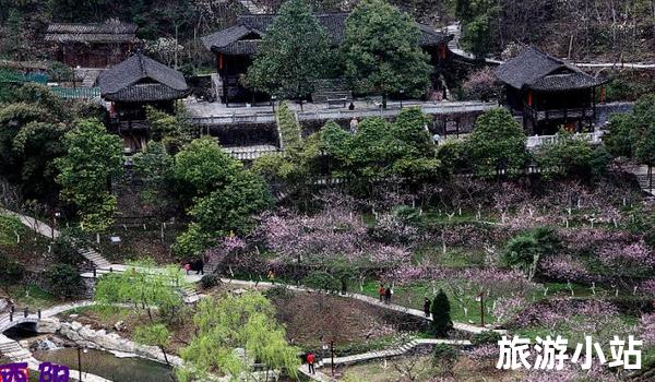 酉阳桃花源旅游景区（天然氧吧）