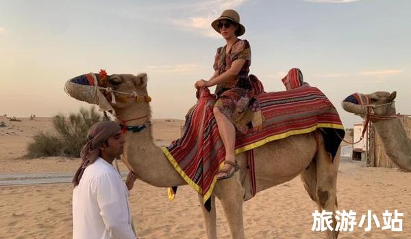 8月最佳旅游地国外地点（沙漠之旅）