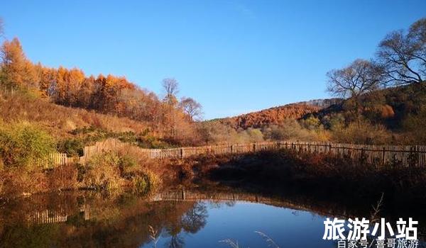 赏红叶胜景，游龙山古镇