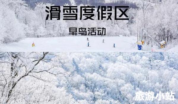 “雪场“