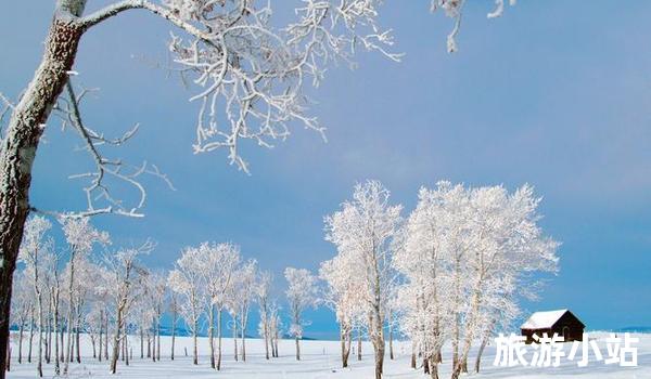 冬季（11月至次年次年2月）——冰雪银装素裹