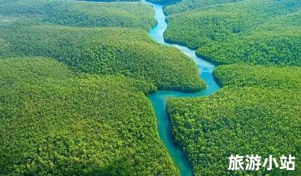 亚马逊雨林探险之旅