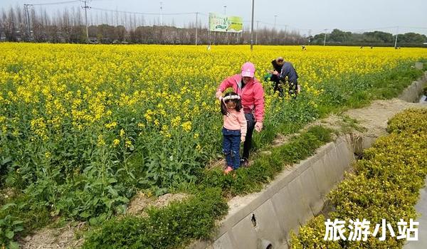 上海菜花文化节