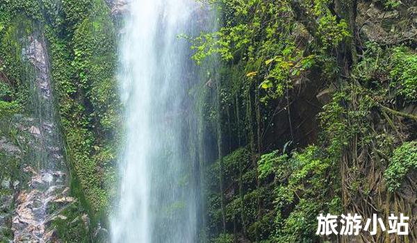 广州（热带雨林）