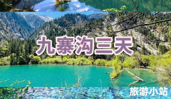 经济实惠的价格