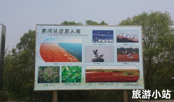 黄河口水上旅游