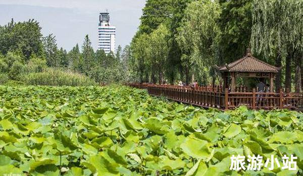 荆州水上森林公园