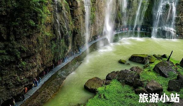 感受自然生态，亲自接触野生动植物