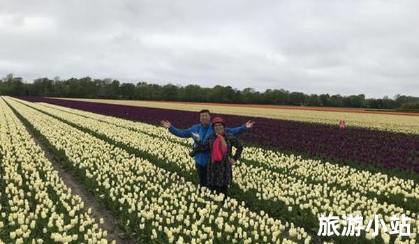 四月国外旅游推荐，欧洲“花”好季节