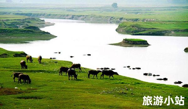 翻山越岭随风自由，领略漫长不尽的洞庭湖湿地公园