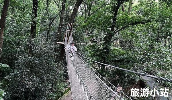 美轮美奂的紫金山风景区