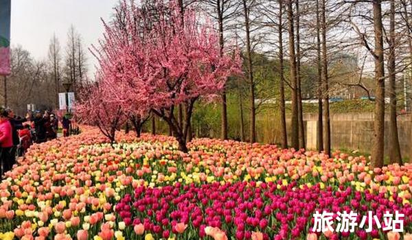 上海植物园