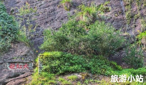 紫砂岩风景区