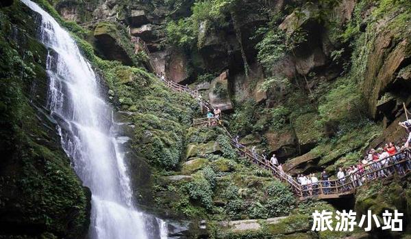 四川省雅安市碧峰峡旅游景区介绍，一场跳跃大自然怀抱的冒险之旅