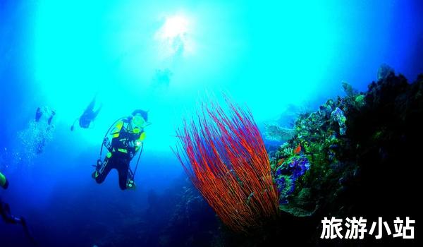 潜水探索，海底世界