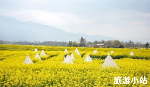 腾冲温泉花海之旅