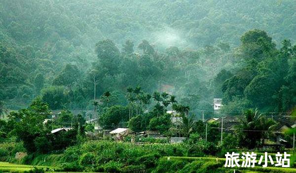 独脚门热带雨林