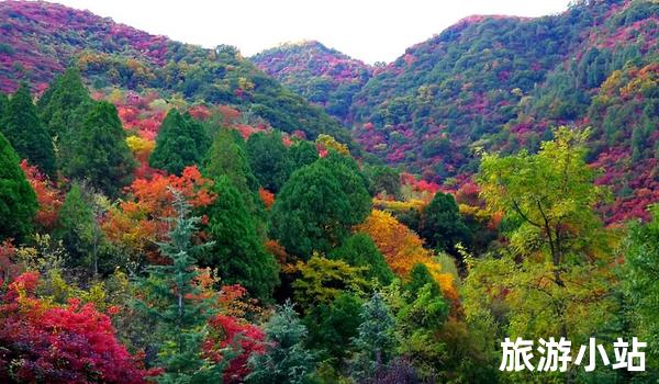 张家口市旅游攻略，感受大自然