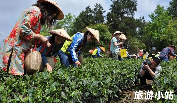 与当地人互动