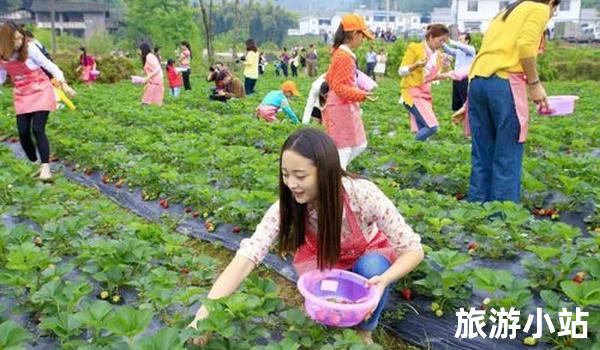 享受农业生态旅游