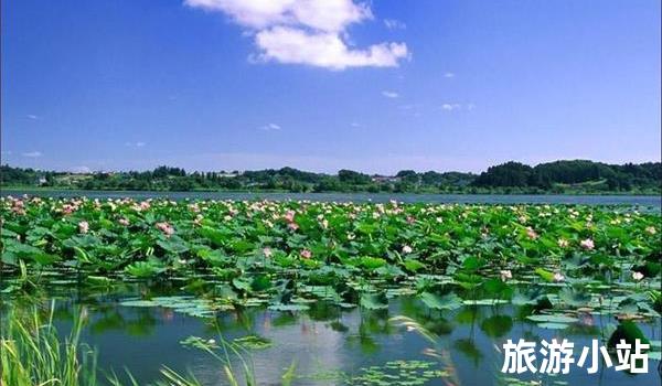 济宁市微山湖旅游区，宜人宜景