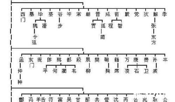 传统姓氏——走近家族血缘和文化历史