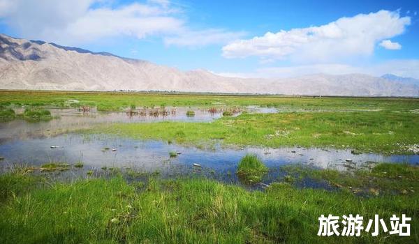 草原湖塘