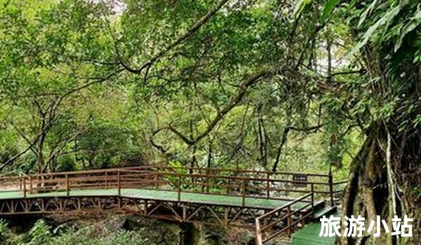 热带雨林风景区