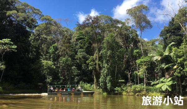 热带雨林旅游