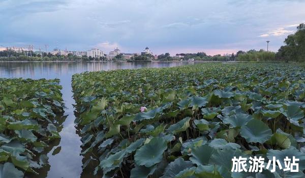 夏都湖景区