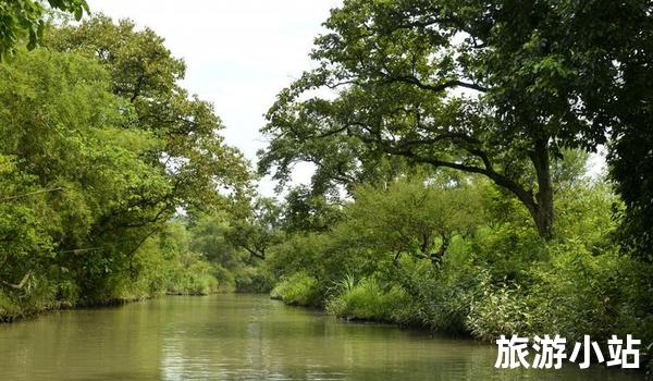 杭州西溪湿地旅游区，自然美在其中