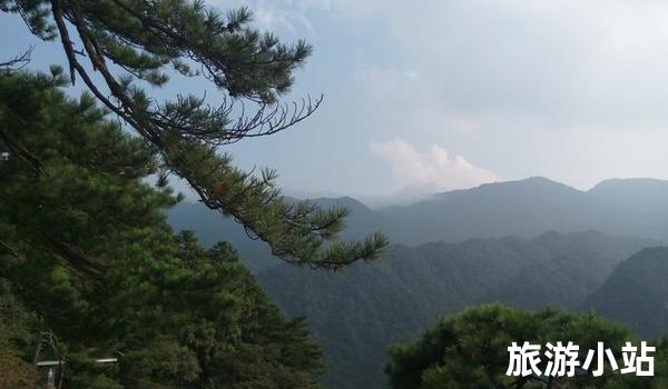 多样的动植物资源